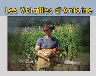 Cette image a un attribut alt vide ; le nom du fichier est profil-fcb1.jpg